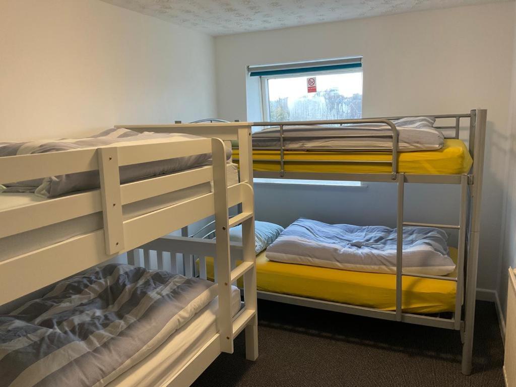Blue Room Hostel Newquay 뉴키 외부 사진